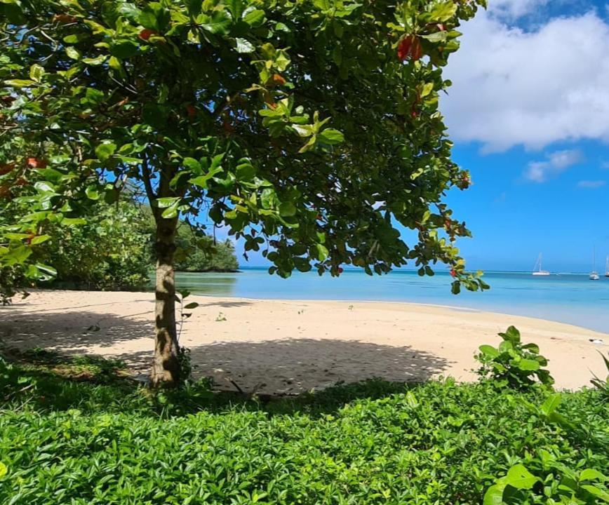 Huahine Manta Lodge Avec 4X4 Optionnel Haapu المظهر الخارجي الصورة