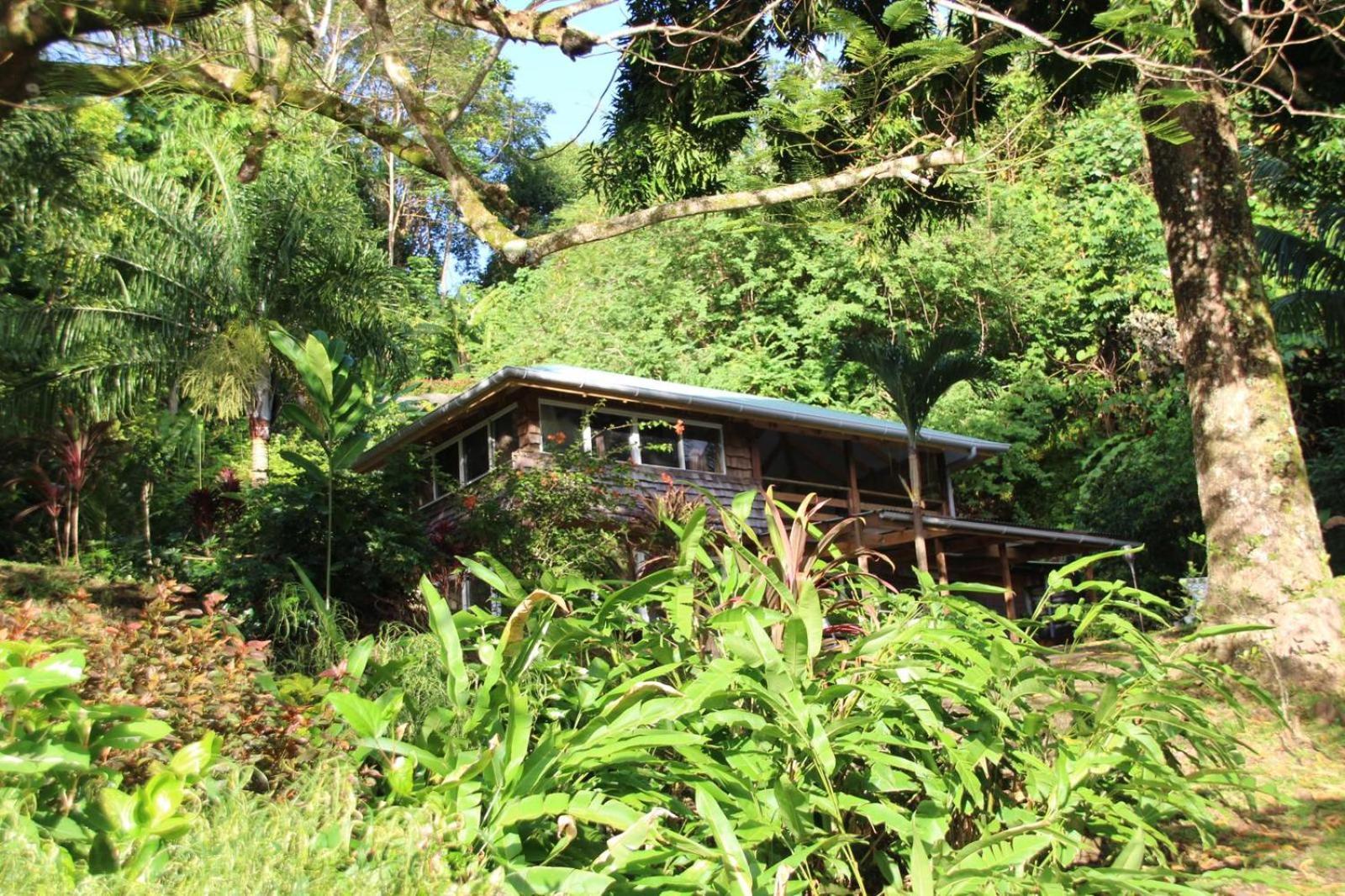 Huahine Manta Lodge Avec 4X4 Optionnel Haapu المظهر الخارجي الصورة
