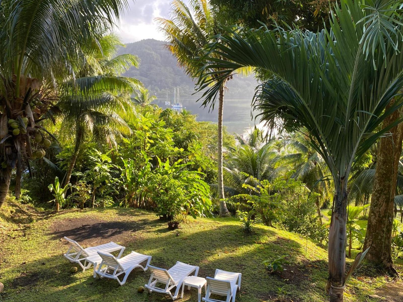 Huahine Manta Lodge Avec 4X4 Optionnel Haapu المظهر الخارجي الصورة