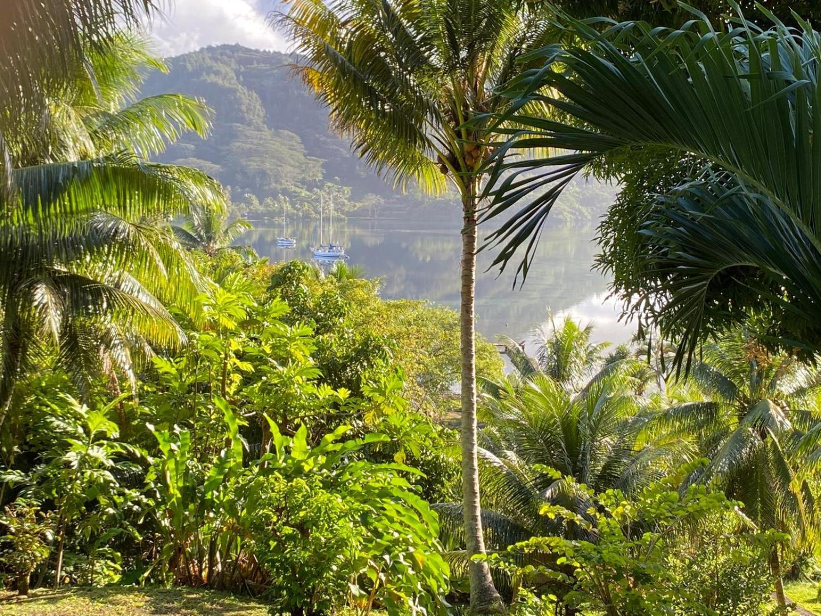 Huahine Manta Lodge Avec 4X4 Optionnel Haapu المظهر الخارجي الصورة