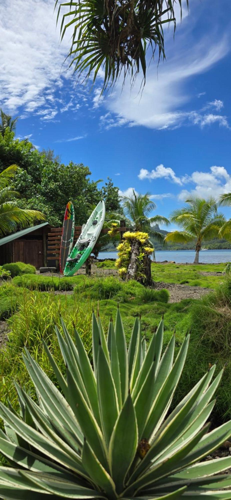 Huahine Manta Lodge Avec 4X4 Optionnel Haapu المظهر الخارجي الصورة